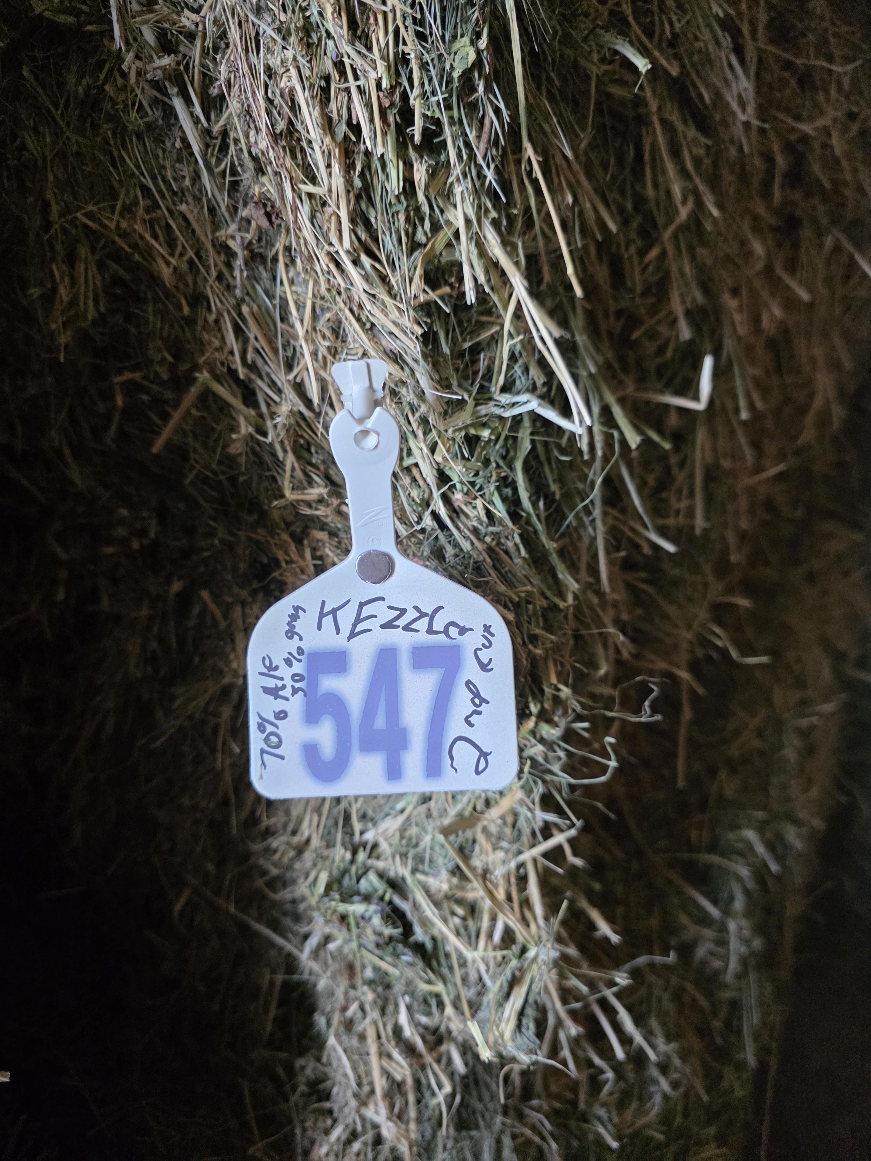 547 Alfalfa/Grass Mix Large Squares – Image 6