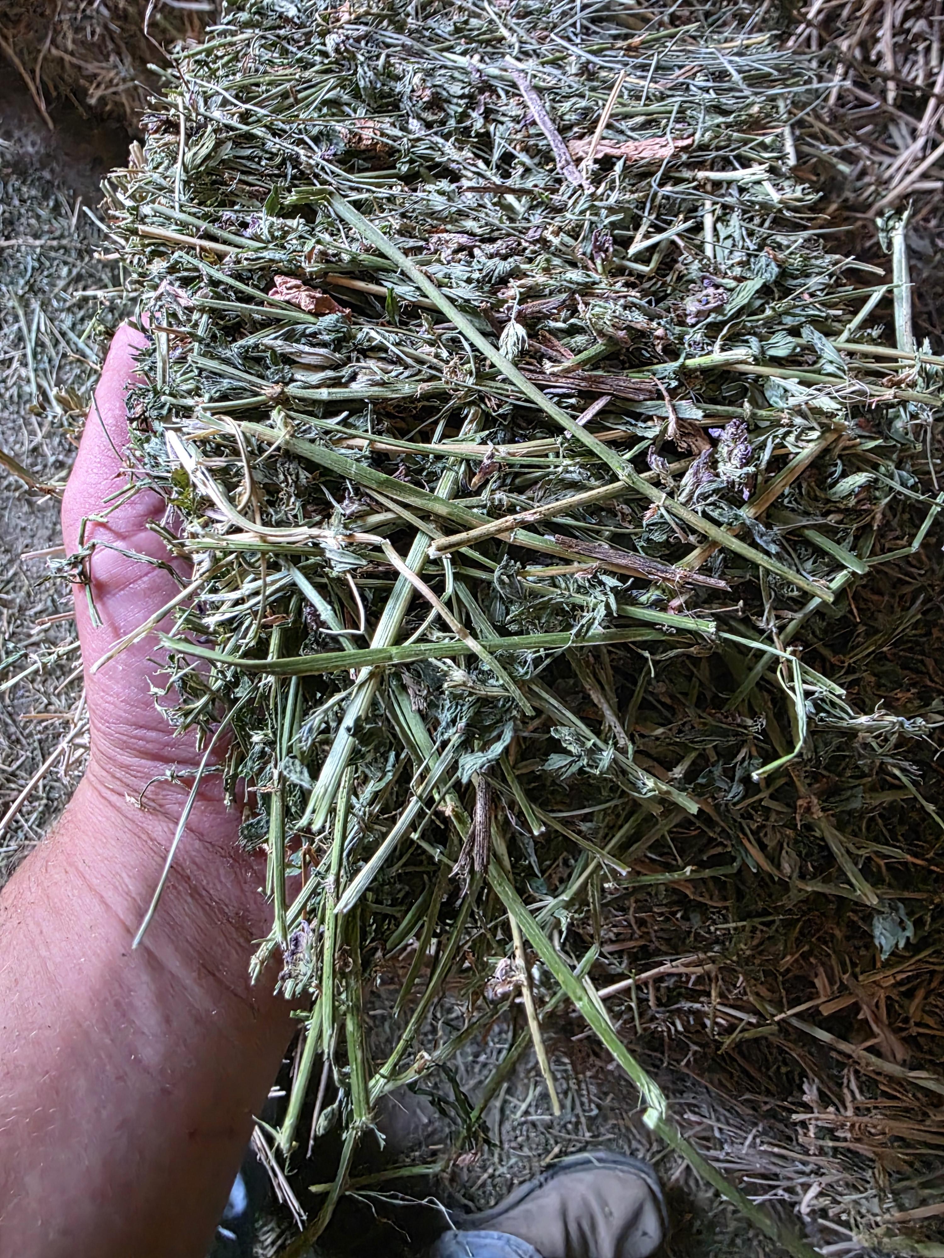 547 Alfalfa/Grass Mix Large Squares – Image 4