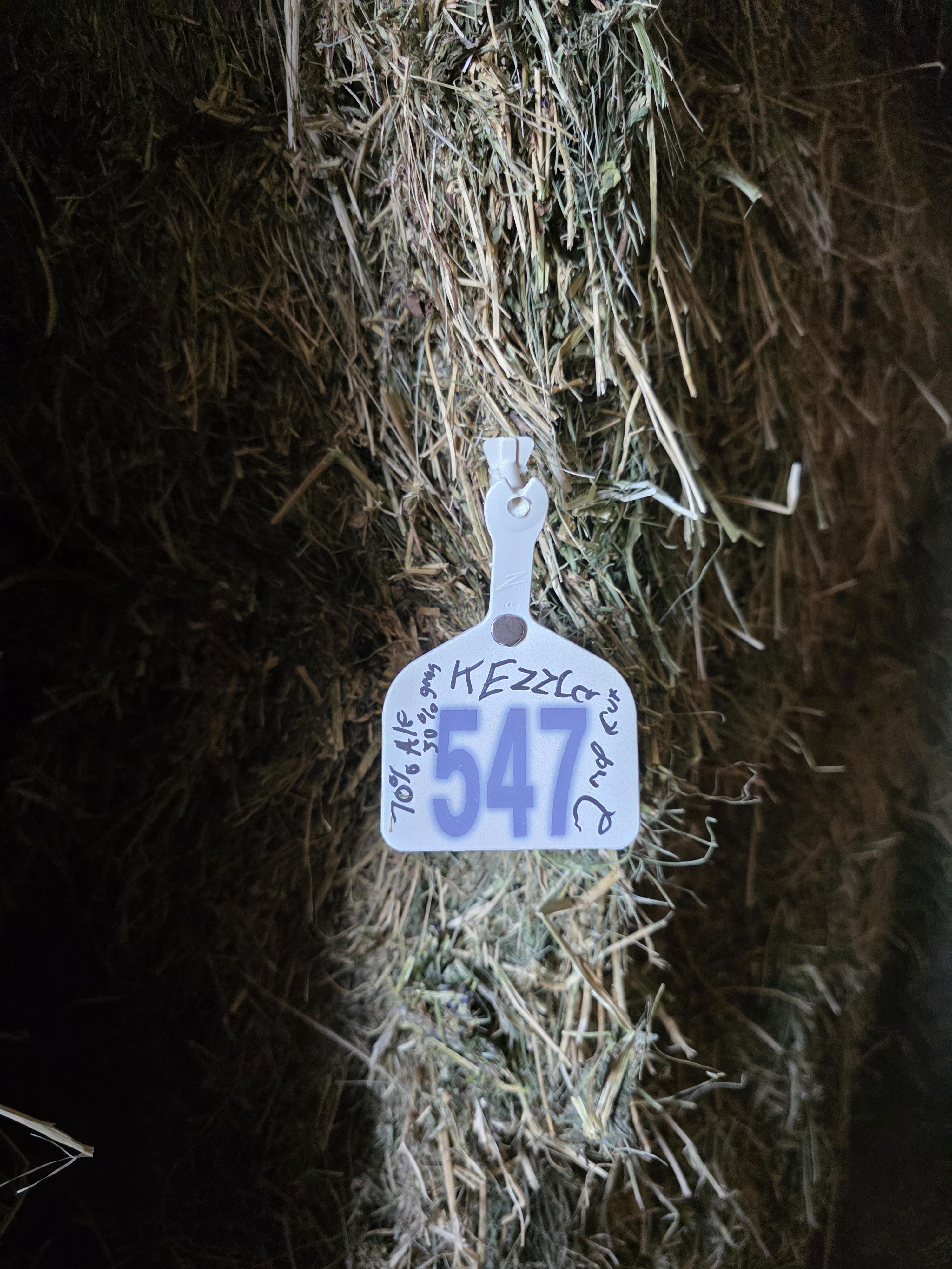 547 Alfalfa/Grass Mix Large Squares – Image 5