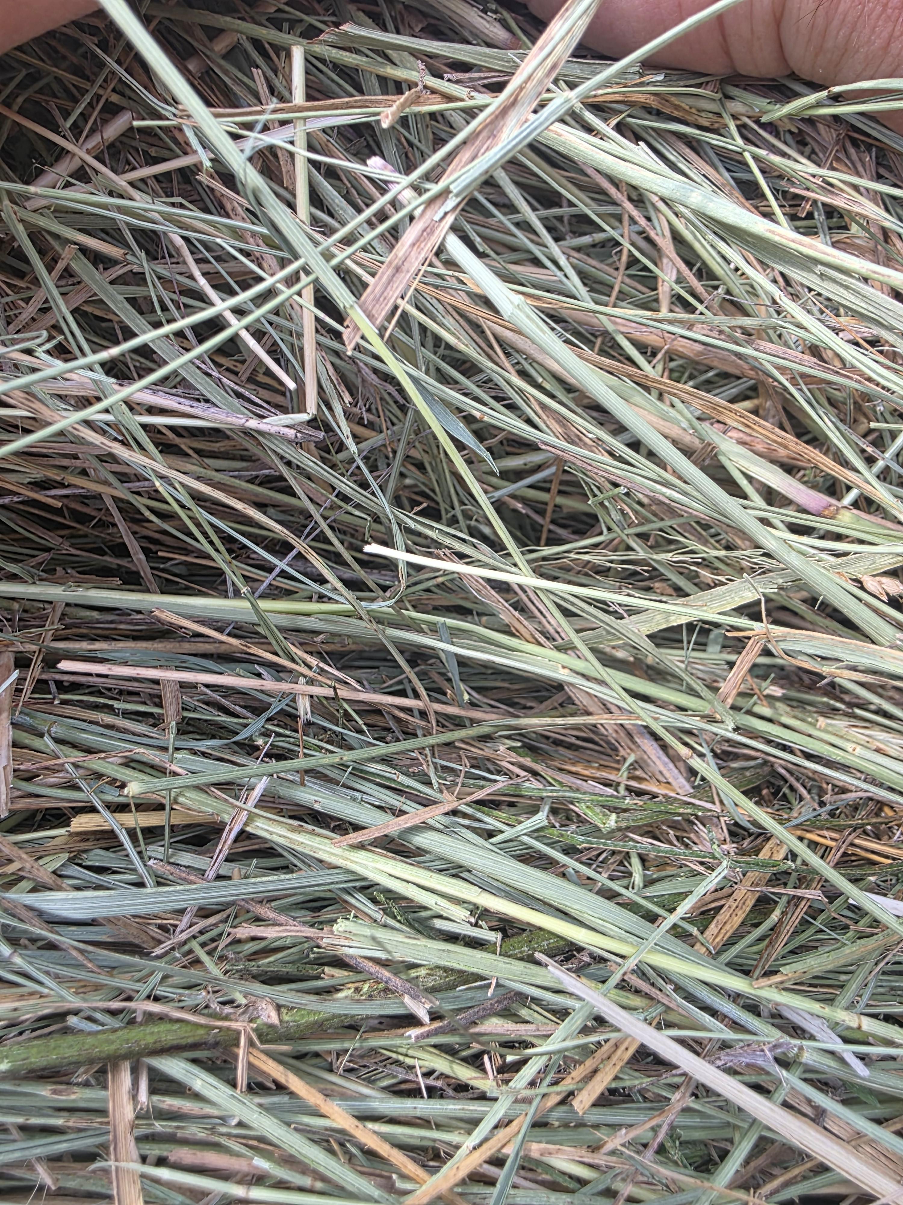 DS 901 Light Alfalfa/Grass mix CRP Rounds – Image 5