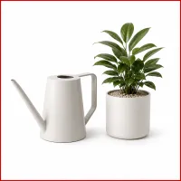 Plant Watering – Image 1