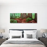 Redwoods, Prairie Creek State Park – Image 4