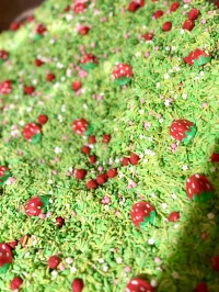 Strawberry Fields Sensory Mix – Image 3