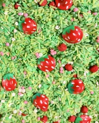 Strawberry Fields Sensory Mix – Image 4