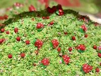 Strawberry Fields Sensory Mix – Image 5