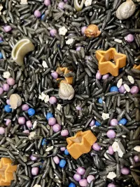 Sparkling Cosmos Sensory Mix – Image 2