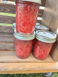 Pickled Red Onions – Image 1