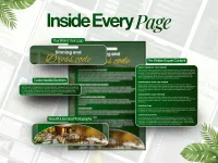 Jamaica: Know Before You Go – Image 5
