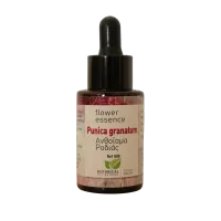 006 Flower Essence Punica granatum (Pomegranate) / Ανθόιαμα ροδιάς – Default Title