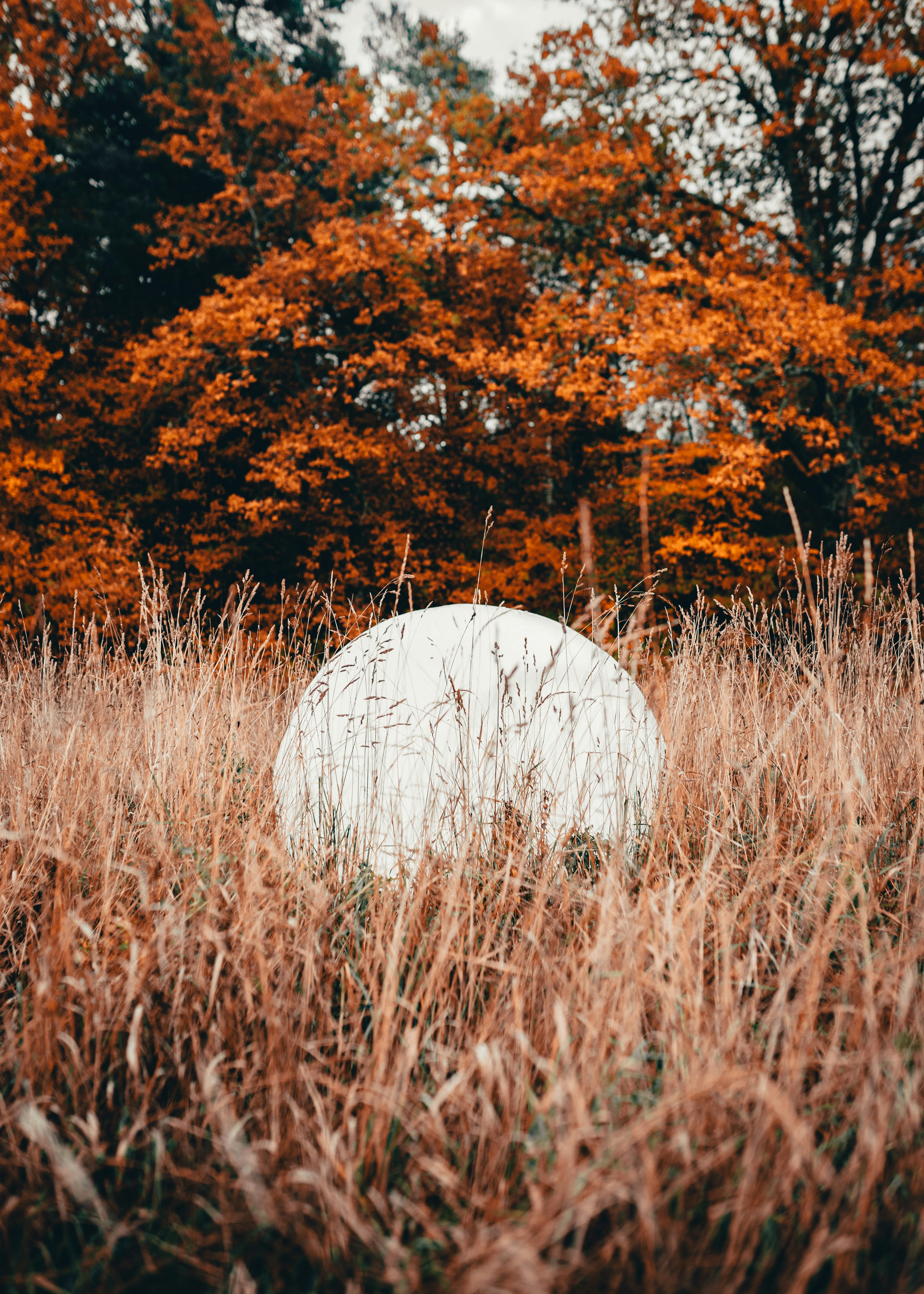 🌕 Harvest Moon: Autumn Equinox Celebration – Image 1