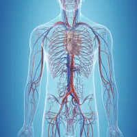 8 hour Advanced Higher Biology Project Bundle – Image 1