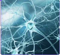 10 hour Advanced Higher Biology Project Bundle – Image 1