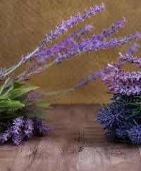 Lavender Room Spray – 2 fluid oz