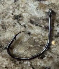 Chase'N Cats Premium Offset Circle Hooks – Image 3