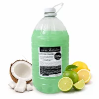 Mix Premium Mezclas para Granizar 5.48L – 5.48 Ltros, Coco de Rumba Mix Premium
