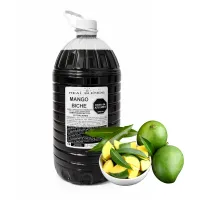 Mix Mezclas para Granizar 6L – 6000 ml, Mango Biche