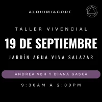 FUNDAMENTOS | Taller Vivencial de Alquimia Code™ con Andrea VBH y Diana Gaska 📍 CDMX  🗓 Sábado 19 de septiembre – Image 1