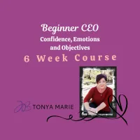 BEGINNER CEO 6 WEEK COURSE – Image 1