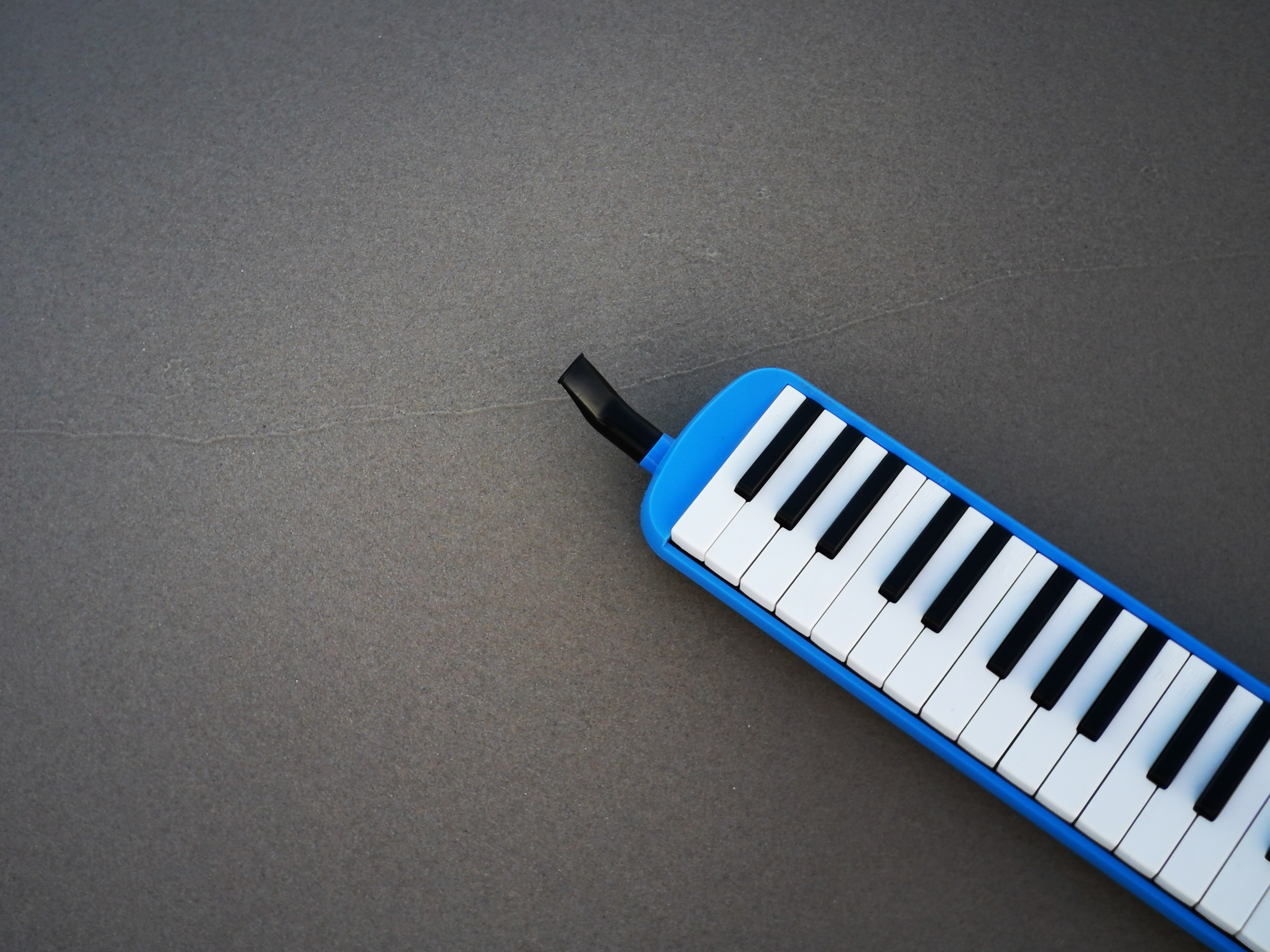 ML-Melodica · Melodica – Image 1