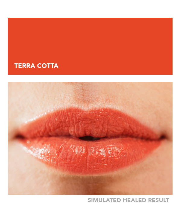 Terra Cotta – Image 4