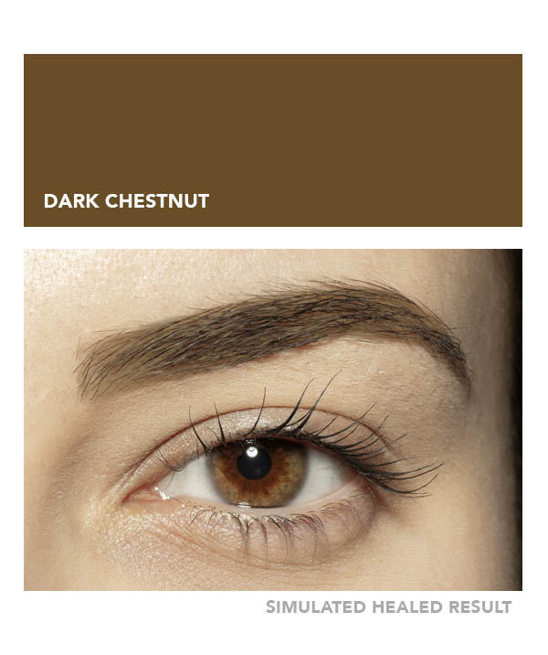 Dark Chestnut – Image 4