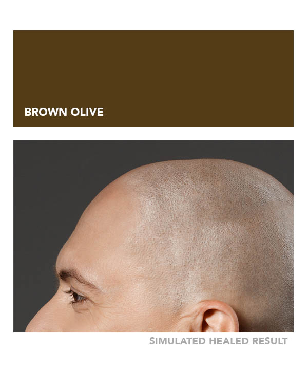 Brown Olive – Image 4