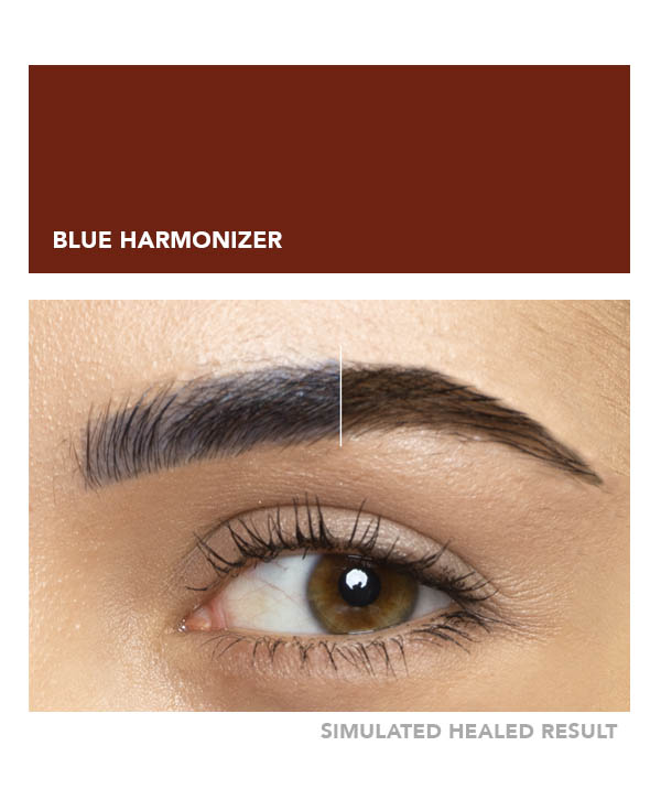 Blue Harmonizer – Image 4