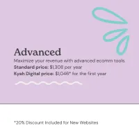 Squarespace Hosting Fee – Image 5
