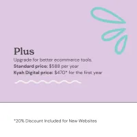 Squarespace Hosting Fee – Image 4