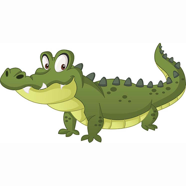 Gator Sponsorship – Image 1