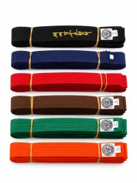 Gup (Color Belt) Testing Fee – Image 1