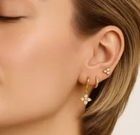 ARETES AURORA  – Image 2