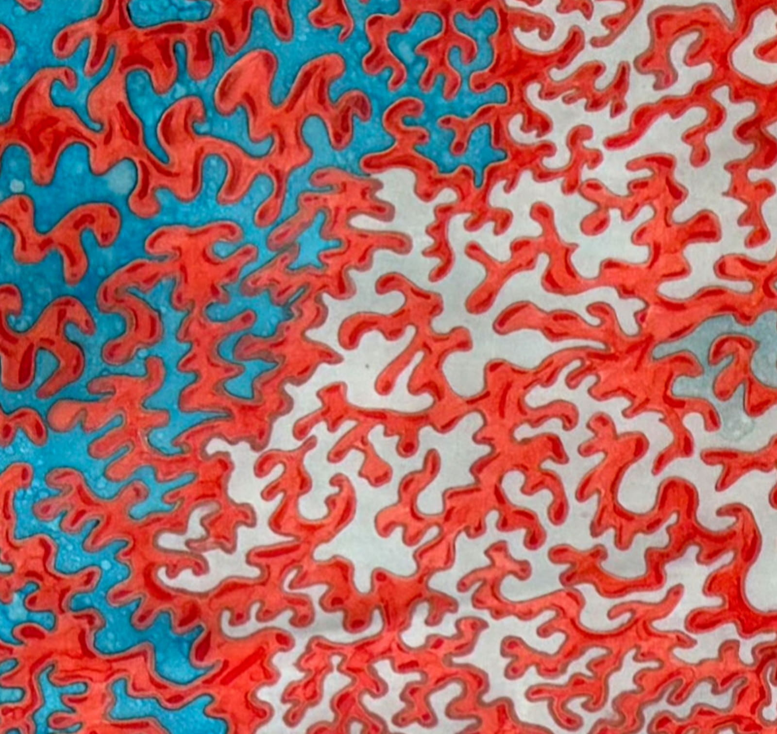 Coral Perpendicularity – Image 2
