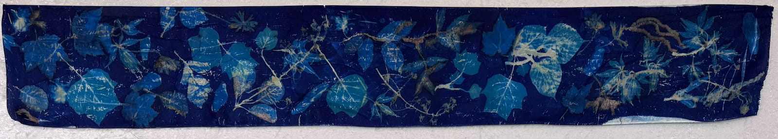 Blue Botanical – Image 4
