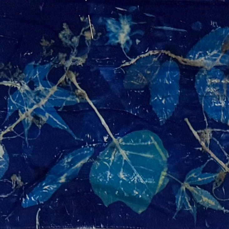 Blue Botanical – Image 2