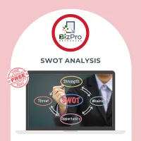 SWOT Analysis – Image 1