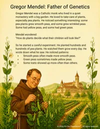 Catholic Thinkers: Faith, Wonder, and Genius – Image 5