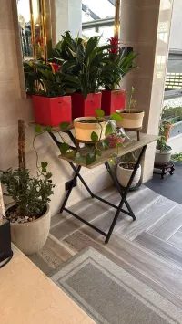 مقدمة طعام – Image 4