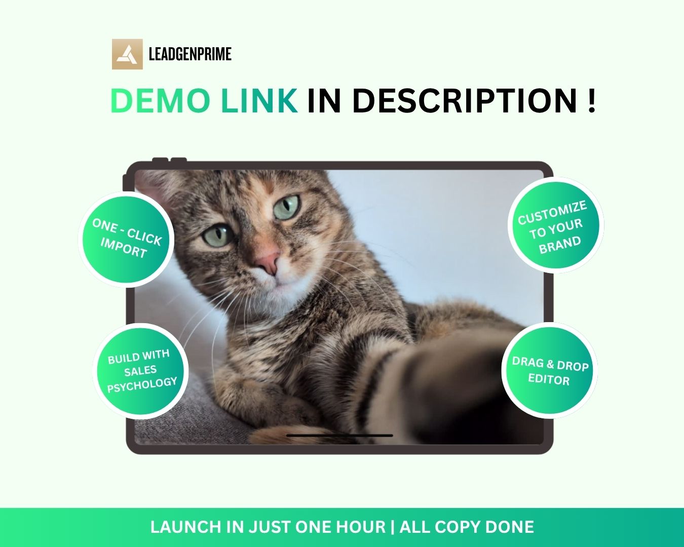 5-Day Challenge Funnel Template - Green Themed – Image 9