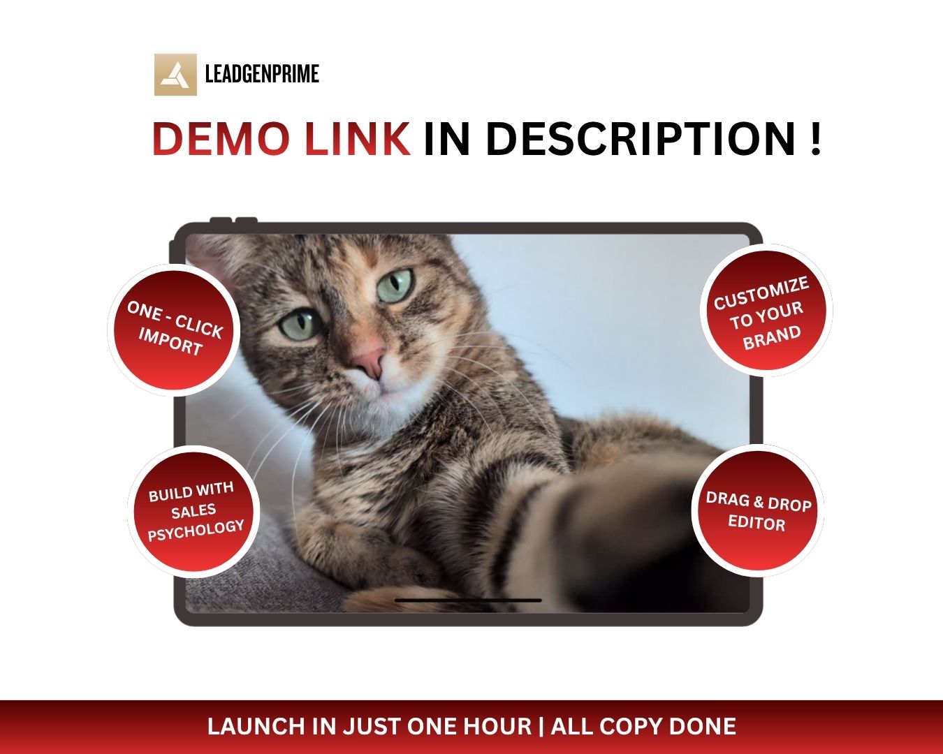 Local Business Lead Generation Funnel Template - Red & Gold Themed – Image 10