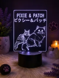 Custom Illuminated Acrylic Display – Image 3