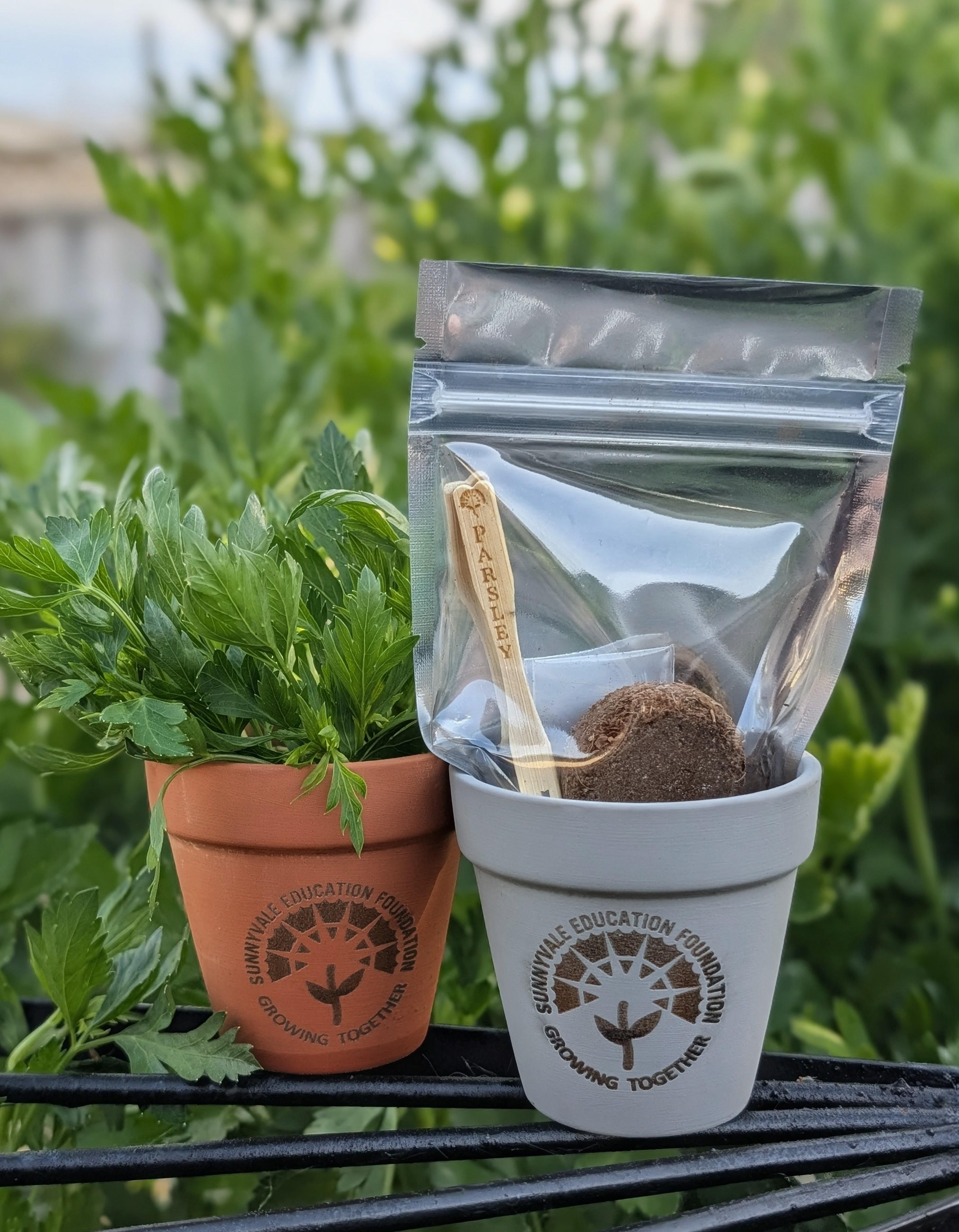 Engraved Mini Plant Pots – Image 2