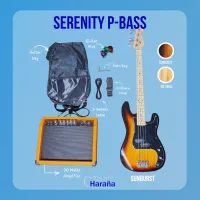SERENITY PRECISION BASS + 30 WATTS AMPLIFIER – Image 1