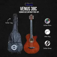 VENUS / SIZE 38' / 38C / WITHOUT PICK-UP – BROWN