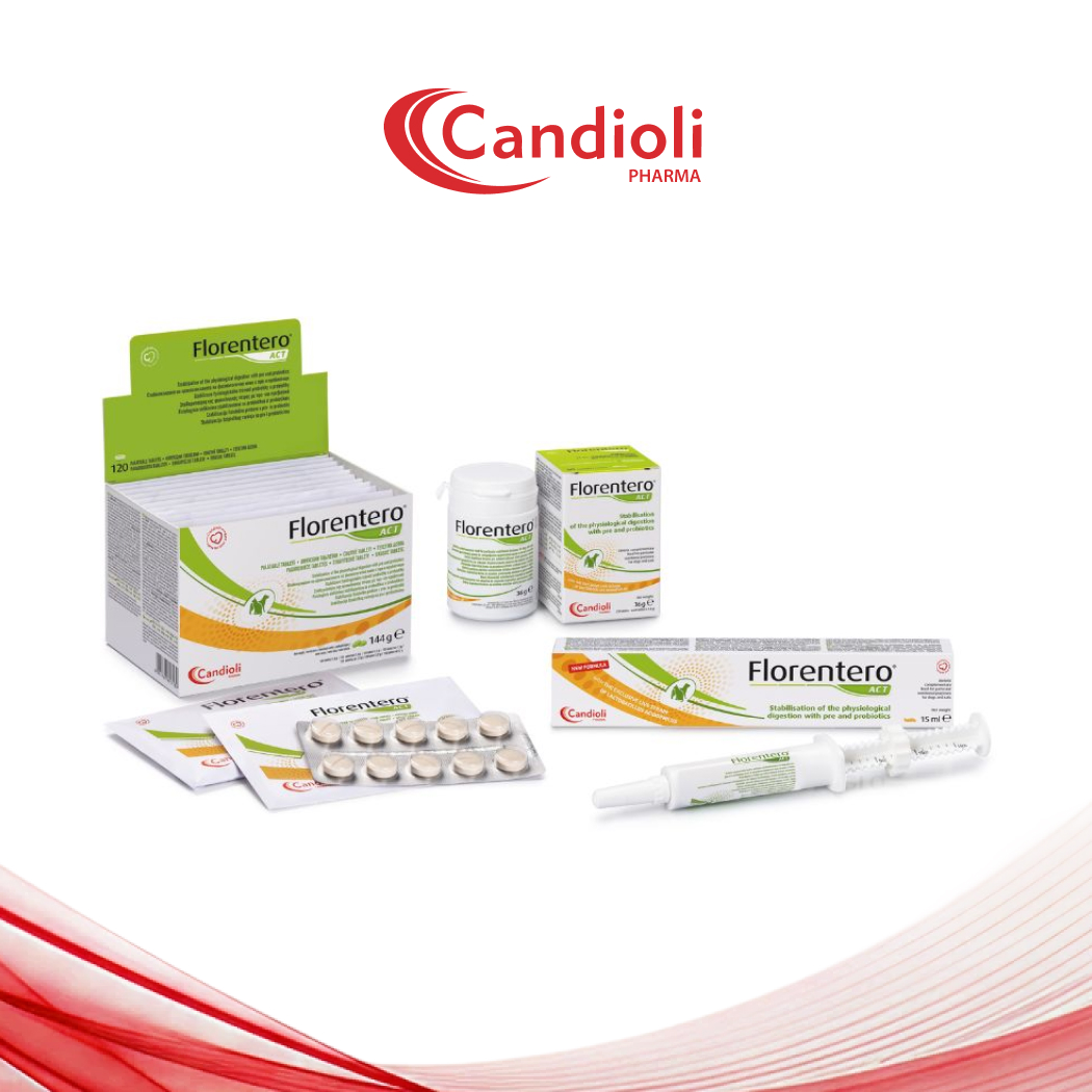 -50% Upsalle Product - Florentero® ACT — швидке рішення для проблем із травленням у собак і котів – Image 1