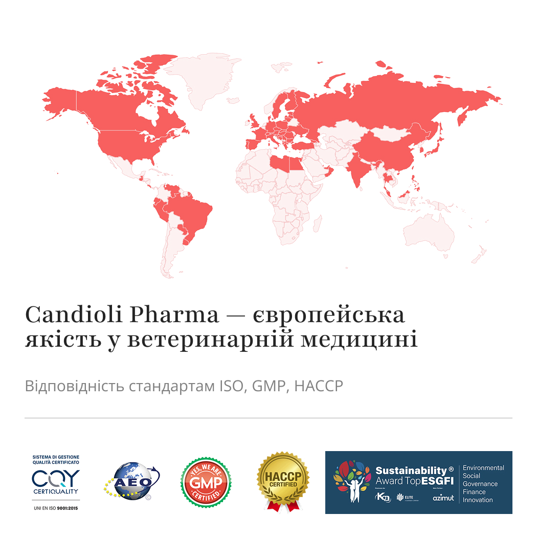-50% Upsalle Product - Florentero® ACT — швидке рішення для проблем із травленням у собак і котів – Image 6