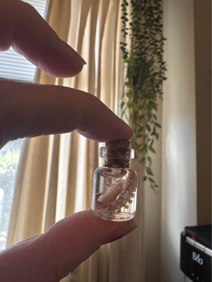Miniature Octopus Tentacle Wet Specimens – Image 3