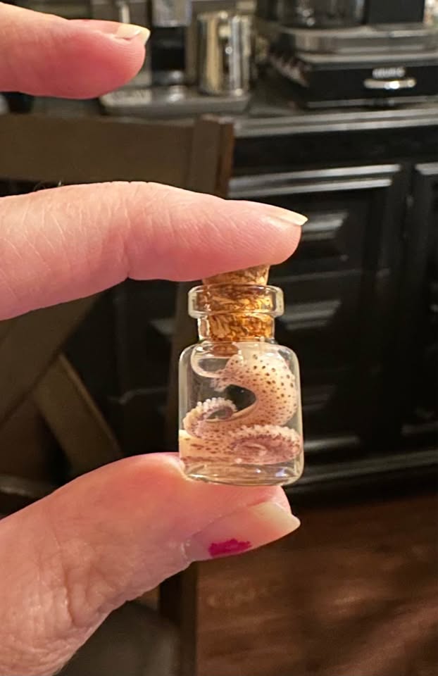 Miniature Octopus Tentacle Wet Specimens – Image 2