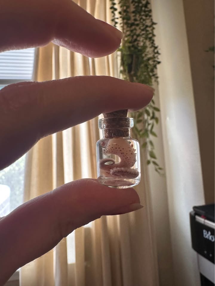 Miniature Octopus Tentacle Wet Specimens – Image 4