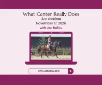 What Canter Really Does Live Webinar November 17, 2026 – Image 1